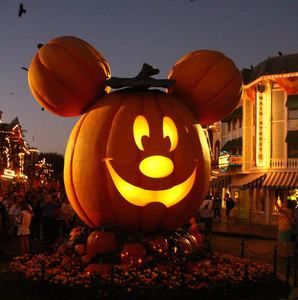 Meet your Posher, Sonia missy